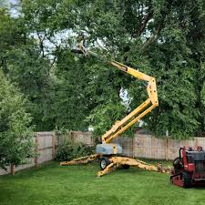 Reliable Bray, OK Tree Removal and Landscaping Services Solutions